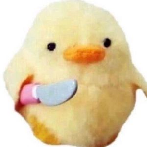 Meet your Posher, Faith